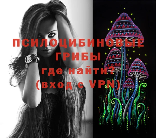 стафф Беломорск