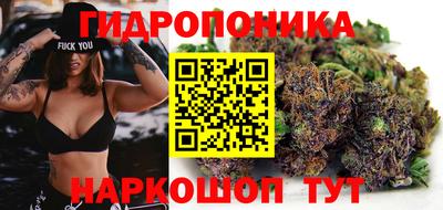 apvp Заволжье