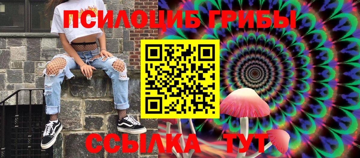 Псилоцибиновые грибы Cubensis  Вход с VPN  Галлюциногенные грибы прущие грибы  Луховицы 